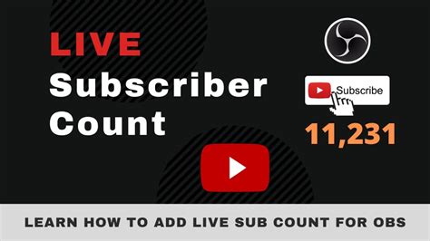 subscriber count generator.